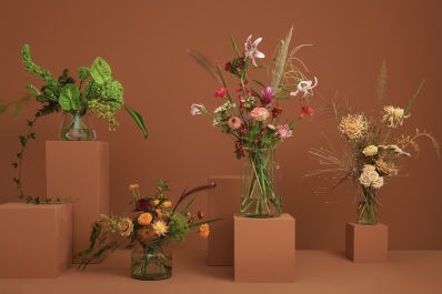 British online florist Bloom & Wild acquires Dutch bloomon to become Europe's number 1